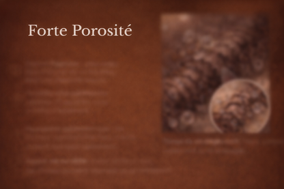 eBook cheveux